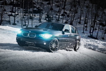 Wintervelgen